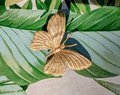 Gold brass butterfly cabinet handle/Realistic butterfly cabinet pull/Butterfly door handle/Gold butterfly door knob/Brass furniture hardware