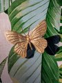 Gold brass butterfly cabinet handle/Realistic butterfly cabinet pull/Butterfly door handle/Gold butterfly door knob/Brass furniture hardware
