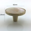 Round Iridescent Abalone Shell Drawer pull/Pearl Cabinet pull/mother of pearl door handle/light abalone knob/shell furniture hardware