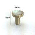 Round Iridescent Abalone Shell Drawer pull/Pearl Cabinet pull/mother of pearl door handle/light abalone knob/shell furniture hardware
