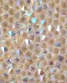 Iridescent angel aura quartz cabinet pull/Rainbow crystal and brass drawer pull/crystal hardware/gemstone door handle/glittery door handle