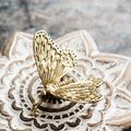 Brass butterfly on a branch cabinet handle/Monarch butterfly cabinet pull/butterfly door handle/gold butterfly knob/Gold furniture hardware