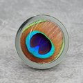 Peacock Eye glass cabochon and silver drawer pull cabinet handle door knob furniture hardware feather