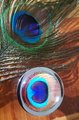 Peacock Eye glass cabochon and silver drawer pull cabinet handle door knob furniture hardware feather