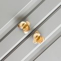 Gold Phalenopsis Orchid Cabinet Pull/Orchid Door Handle/Flower Drawer Knob/Brass Drawer Pull/Furniture Hardware/Tropical Decor/Drawer Handle