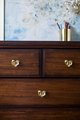 Gold Phalenopsis Orchid Cabinet Pull/Orchid Door Handle/Flower Drawer Knob/Brass Drawer Pull/Furniture Hardware/Tropical Decor/Drawer Handle