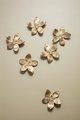 Gold cymbidium door knob/ Exotic flower cabinet pull/Brass flower Door Handle/Orchid drawer pull/ bedroom furniture hardware/orchid flower