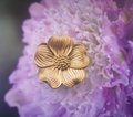 Gold wild rose flower door handle/Blossom flower cabinet pull/Gold flower Drawer Handle/Bedroom furniture hardware/Flower shaped door knob
