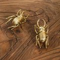 Gold Stag Beetle knob/Bug shaped Cabinet drawer pull/insect shaped door Handle/gold drawer pull/unique door handle/drinks cabinet handle