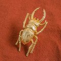 Gold Stag Beetle knob/Bug shaped Cabinet drawer pull/insect shaped door Handle/gold drawer pull/unique door handle/drinks cabinet handle