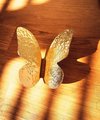 Pair of shiny hammered brass butterfly wing handles/gold butterfly door handles/textured brass hardware/nursery decor/gold kitchen handles
