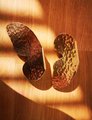 Pair of shiny hammered brass butterfly wing handles/gold butterfly door handles/textured brass hardware/nursery decor/gold kitchen handles