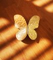 Pair of shiny hammered brass butterfly wing handles/gold butterfly door handles/textured brass hardware/nursery decor/gold kitchen handles