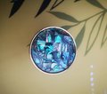 Checked rainbow mother of pearl drawer pull/pearl cabinet handle/pearl furniture hardware/Abalone shell cabinet pull/gold pearl door knob
