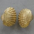 Solid brass realistic sea shell drawer handle/Gold clam shell cabinet handle/seaside themed door knob/beach decor/gold furniture hardware