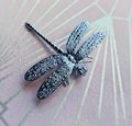 Silver dragonfly cabinet pull/Dragon fly drawer knob/Silver Dragonfly drawer handle/silver furniture hardware/silver dragonflies door knob