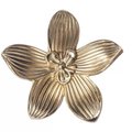 Gold cymbidium door knob/ Exotic flower cabinet pull/Brass flower Door Handle/Orchid drawer pull/ bedroom furniture hardware/orchid flower