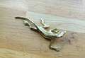 Gold lizard drawer handle/Gold Geko cabinet handle/Unique brass door handle/Brass cabinet hardware/Brass lizard door knob/Lizard door handle