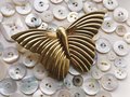 Shiny polished gold brass butterfly cabinet Pull/Gold butterfly door handle/Cute Butterfly drawer knob/Gold brass butterfly wardrobe handle