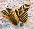 Shiny polished gold brass butterfly cabinet Pull/Gold butterfly door handle/Cute Butterfly drawer knob/Gold brass butterfly wardrobe handle