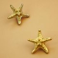 Detailed brass starfish drawer handle/Star fish cabinet pull/Gold beach themed door handle/Seaside decor drawer knob/gold furniture hardware