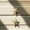 Detailed brass starfish drawer handle/Star fish cabinet pull/Gold beach themed door handle/Seaside decor drawer knob/gold furniture hardware
