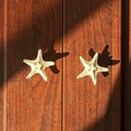 Detailed brass starfish drawer handle/Star fish cabinet pull/Gold beach themed door handle/Seaside decor drawer knob/gold furniture hardware