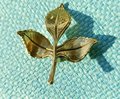 Gold brass leaf sprig cabinet handle/Leaf and stalk shaped drawer pull/Gold brass leaves door knob/brass furniture hardware/Golden leaves