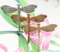 Brass dragonfly cabinet pull/Dragon fly drawer knob/Dragonfly drawer handle/brass furniture hardware/dragonflies door knob/silver dragonfly
