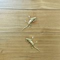 Gold lizard drawer handle/Brass bearded dragon door handle/unique drawer pull/Lizard cabinet handle/Gold reptile drawer knob/Geko door pull