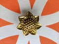 Gold Aster flower cabinet handle/Brass daisy shaped drawer pull/Brass daisy door knob/bedroom furniture hardware/Pretty daisy door handle