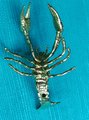 Gold solid brass lobster cabinet pull/Sea creature shaped door handle/beach themed drawer knob/brass furniture hardware/Crab shaped handle