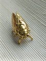 Shiny gold brass Insect cabinet pull/Beetle door handle/Gold bug drawer handle/Gold Cicada drawer knob/ Unique brass furniture hardware