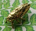 Shiny gold brass Insect cabinet pull/Beetle door handle/Gold bug drawer handle/Gold Cicada drawer knob/ Unique brass furniture hardware