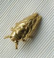 Shiny gold brass Insect cabinet pull/Beetle door handle/Gold bug drawer handle/Gold Cicada drawer knob/ Unique brass furniture hardware