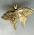 Gold Brass butterfly cabinet handle/Shiny gold moth cabinet pull/butterfly door handle/gold butterfly knob/Gold furniture hardware