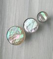 Round Iridescent Abalone Shell Drawer pull/Pearl Cabinet pull/mother of pearl door handle/light abalone knob/shell furniture hardware