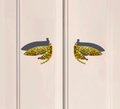 A pair of dragonfly cabinet pull/Dragonfly drawer knobs/Dragonfly drawer handle/brass furniture hardware/home improvement/Gold Door handles