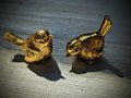 Large gold brass bird drawer handle/Gold brass sparrow cabinet pull/Gold chickadee door knob/nursery furniture hardware/Brass bird door knob
