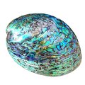 Checked rainbow mother of pearl drawer pull/pearl cabinet handle/pearl furniture hardware/Abalone shell cabinet pull/gold pearl door knob