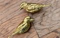 Solid Brass Kingfisher Cabinet Pull/Gold Bird shaped Door Handle/Detailed Bird Design Drawer Pull/Unique Brass Furniture Hardware