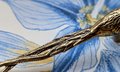 Bird of Paradise Cabinet Pull/Gold Brass Bird Door Handle/Bird shaped drawer handle/gold furniture hardware/Long Tailed Bird Cabinet Handle