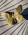 Gold brass butterfly cabinet handle/Realistic butterfly cabinet pull/Butterfly door handle/Gold butterfly door knob/Brass furniture hardware