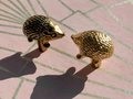 Gold or Bronze hedgehog cabinet handle/Hedgehog door handle/Hedgehog drawer knob/Woodland themed handle/Brass furniture hardware