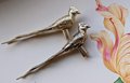 Bird of Paradise Cabinet Pull/Gold Brass Bird Door Handle/Bird shaped drawer handle/gold furniture hardware/Long Tailed Bird Cabinet Handle