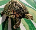Gold or Bronze Tortoise drawer handle/Brass Tortoise door knob/Tortoise cabinet pull/Brass furniture hardware/Animal shaped drawer knob