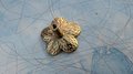 Gold brass flower door handle/Daisy cabinet pull/Flower drawer knob/Flower shaped cabinet handle/Floral door knob/Brass furniture hardware