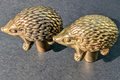 Gold or Bronze hedgehog cabinet handle/Hedgehog door handle/Hedgehog drawer knob/Woodland themed handle/Brass furniture hardware