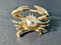 Gold or Bronze crab cabinet handle/Cancer zodiac door handle/Crab shaped drawer knob/Seaside decor/Brass furniture hardware/Beach decor