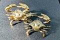 Gold or Bronze crab cabinet handle/Cancer zodiac door handle/Crab shaped drawer knob/Seaside decor/Brass furniture hardware/Beach decor